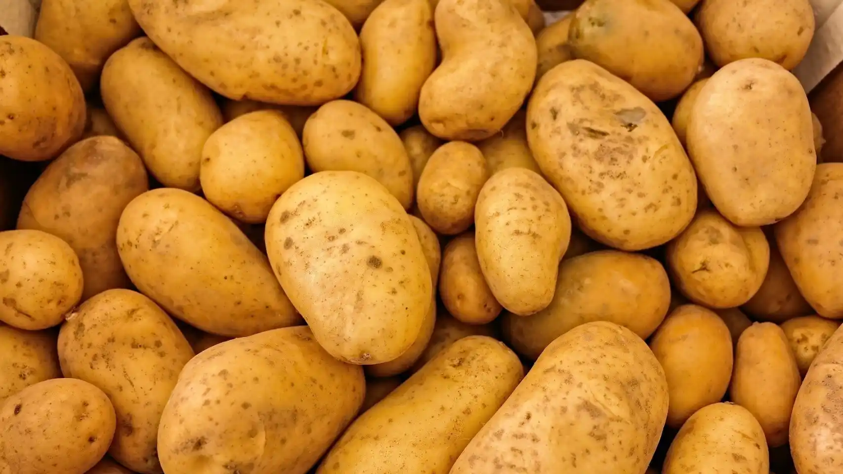 En este momento estás viendo Tres Recetas Irresistibles de Patatas al Horno para Cualquier Ocasión